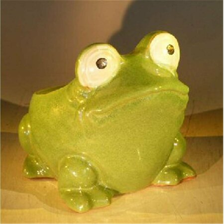 PARCHE 7 x 9 x 7.5 in. Frog Planter, Green PA2806465